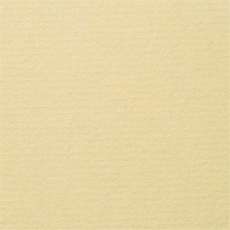 Японская бумага Shin Inbe Кремовая/ для графики 54,5х78,8 см 105 г/м2