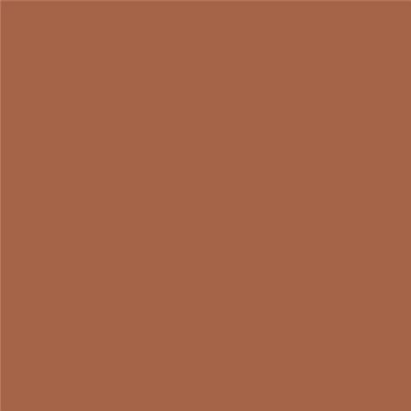 Картон цв. А4, пл.120г/м2, Светло-коричневый