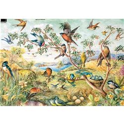 Декупажная карта (50х70 см), тема Пейзаж с птицами