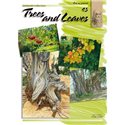 Деревья и листья (на анг.яз.) Trees and Leaves LC 45