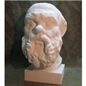 Голова Сократа