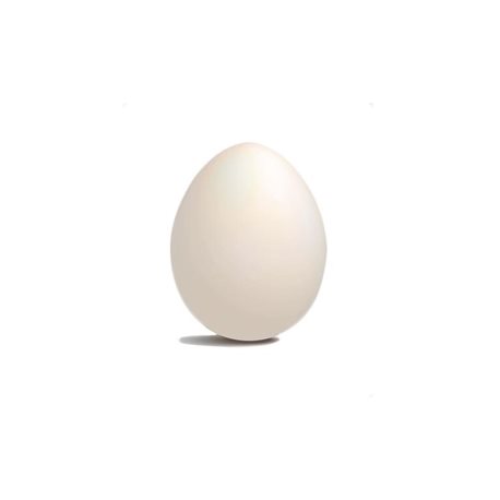 Заготовка Яйцо среднее из красной глины, покрытие белый ангоб 13,5 х7 см.