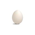 Заготовка Яйцо среднее из красной глины, покрытие белый ангоб 13,5 х7 см.