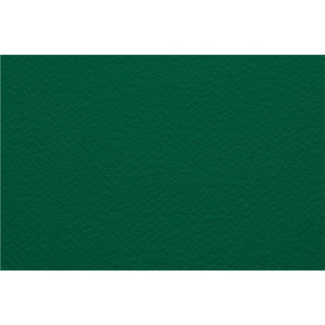 Бумага для пастели А4 Tiziano 160 г /ярко-зеленый