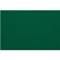 Бумага для пастели А4 Tiziano 160 г /ярко-зеленый