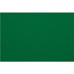 Бумага для пастели 50х65 Tiziano 160 г /зеленый