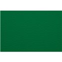 Бумага для пастели 50х65 Tiziano 160 г /зеленый