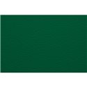 Бумага для пастели 50х65 Tiziano 160 г /зеленый темный