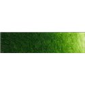 Зелёная крушина- прозрачный лак экстра/краска масл. худож. Old Holland