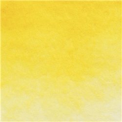 Индийская желтая акварель Белые ночи кювета 2,5 мл