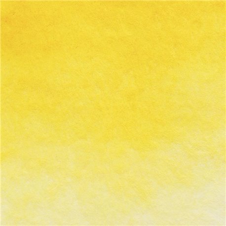 Индийская желтая акварель Белые ночи кювета 2,5 мл