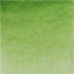 Травяная зеленая акварель Белые ночи кювета 2,5 мл