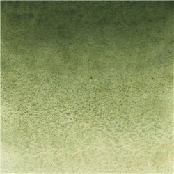 Земля зеленая акварель Белые ночи кювета 2,5 мл