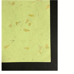Бумага ручной работы с вкраплениями лепестков роз 50х70/80г/м Зеленая