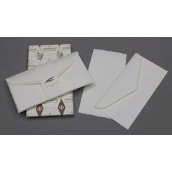 Набор карточки (10.5х20.5 см) и конверты (11х22 см) 10 шт, бумага ручного литья