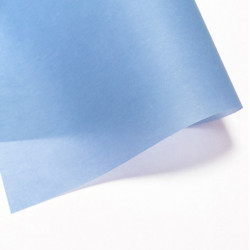 Калька цветная/ А4, 100гр/м2, 12 лист /Бледно-голубая
