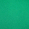 Картон "Cartador" 50х65 270г/м /зеленый