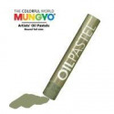 Пастель MUNGYO масляная профессиональная цвет № 546 серо-зеленый