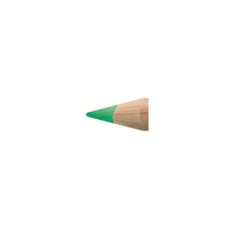 Изумрудный цветной карандаш Lyra Rembrandt Polycolor