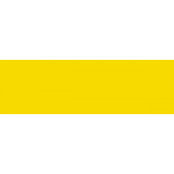 Жёлтый/Краситель порошковый Acid Dye