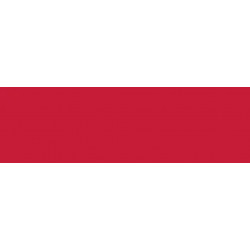 Краситель порошковый Acid Dye /огненно-красный