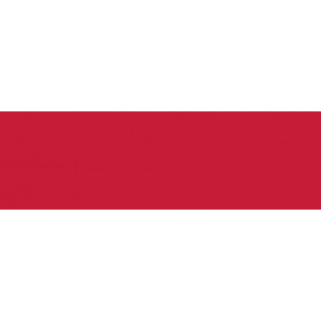 Краситель порошковый Acid Dye /огненно-красный