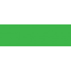 Краситель порошковый Acid Dye /зеленый