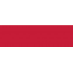 Краситель порошковый Acid Dye / алый