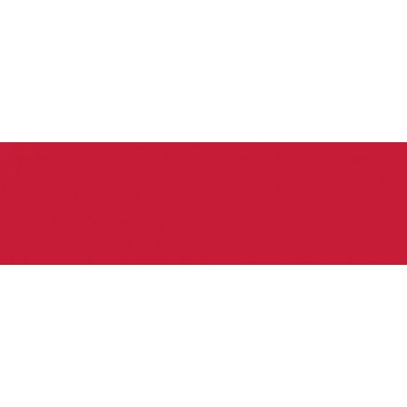 Краситель порошковый Acid Dye / алый