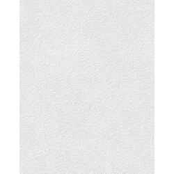 Бумага тисненая "Яичная Скорлупа", 62*94, 200г/м