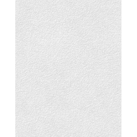 Бумага тисненая "Яичная Скорлупа", 62*94, 200г/м