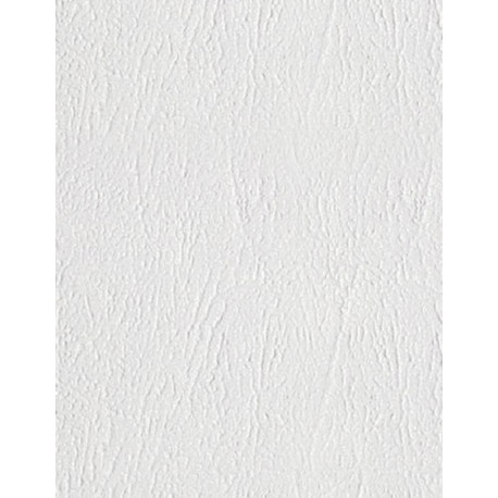 Бумага тисненая "Кожа", 62*94, 200г/м