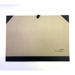 Папка картонная Черная речка для хранения А3 ( 30х42см.) на завязках,с клапанами, эконом.