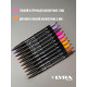 Набор C (пряности), LYRA Aqua Brush Duo - двухсторонние c эффектом кисточки, 10 цветов