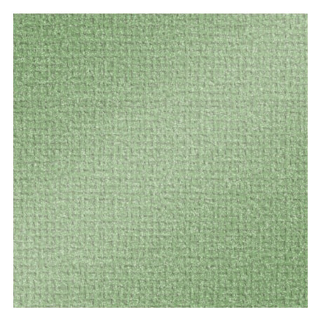 Картон для Scrapbooking, 30,5х30,5см, 220гр, STRUKTURA PEARL Авокадо